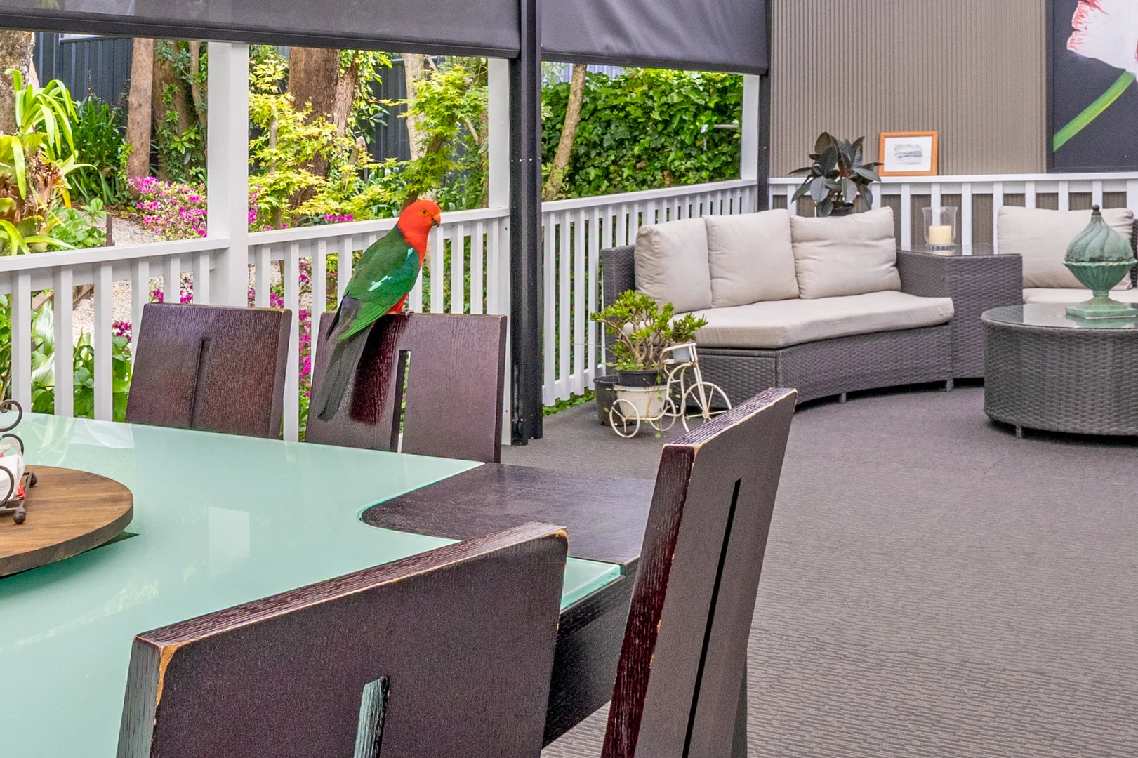 Additional image 10 of 12 Panorama Crescent, Wentworth Falls NSW 2782