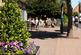 Additional image 13 of Moresby at Barratt Homes at Thoresby Vale Ollerton Road, Edwinstowe, Mansfield NG21