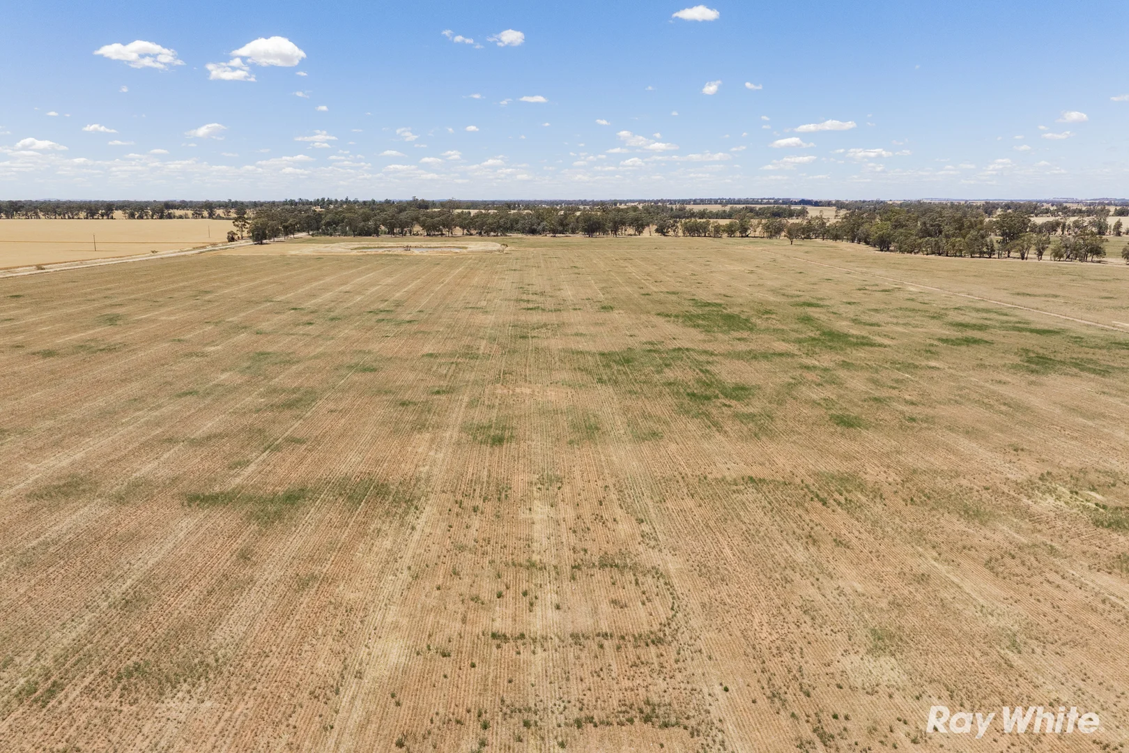 Additional image 20 of 79 Croziers Lane, Ganmain NSW 2702