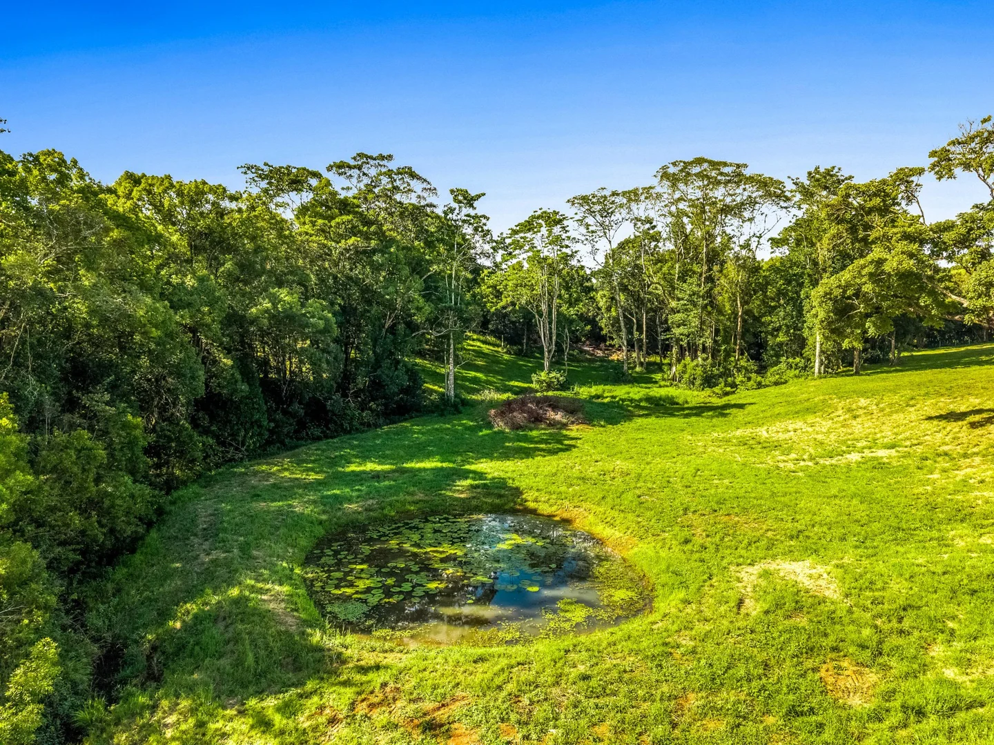 Additional image 20 of 397 Duncan Road, Numulgi NSW 2480