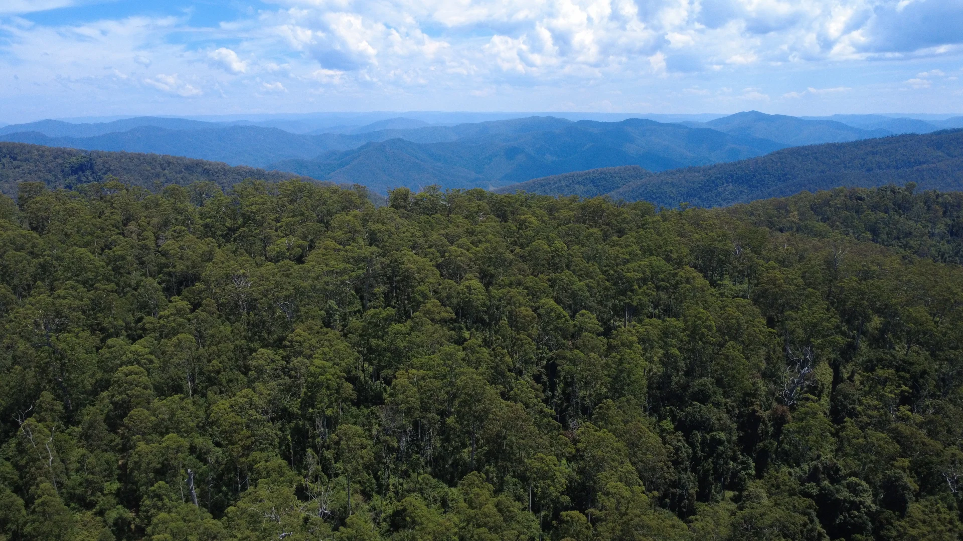 Additional image 16 of Baxters Ridge Road, Gloucester NSW 2422