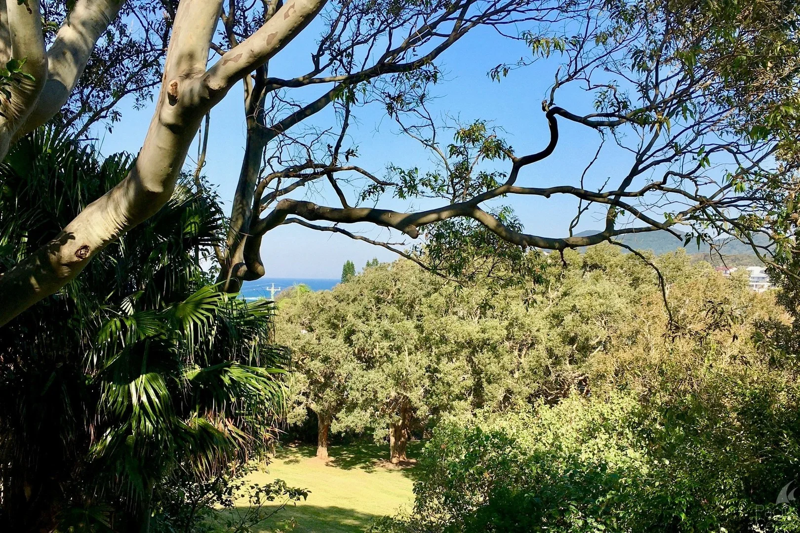 36 Seaview Street, Forster NSW 2428