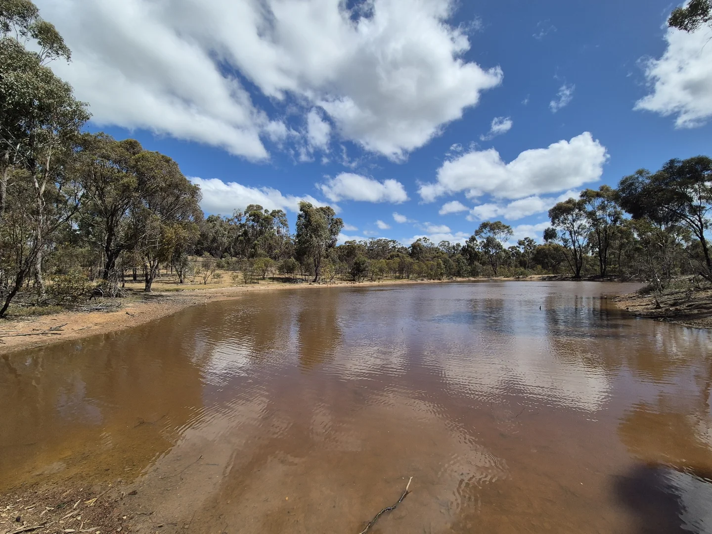Additional image 7 of Lot 3 Gellibrand Tonks Road, Earlston VIC 3669