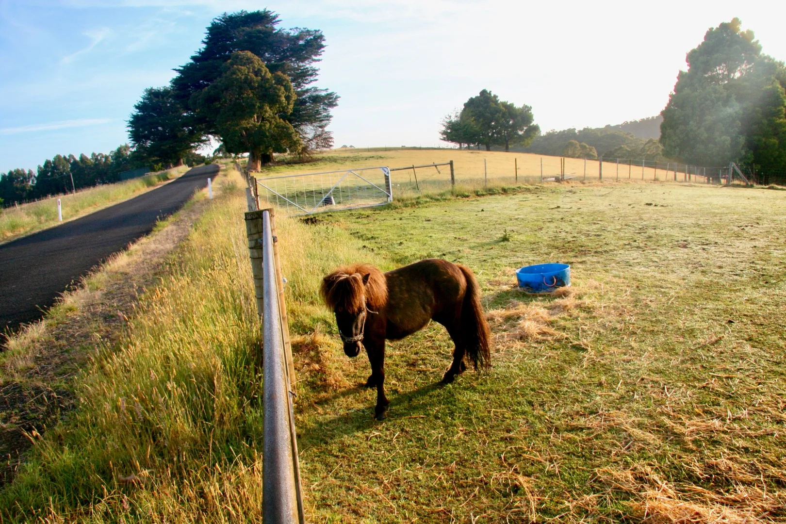 470 Allison Rd, North Motton TAS 7315