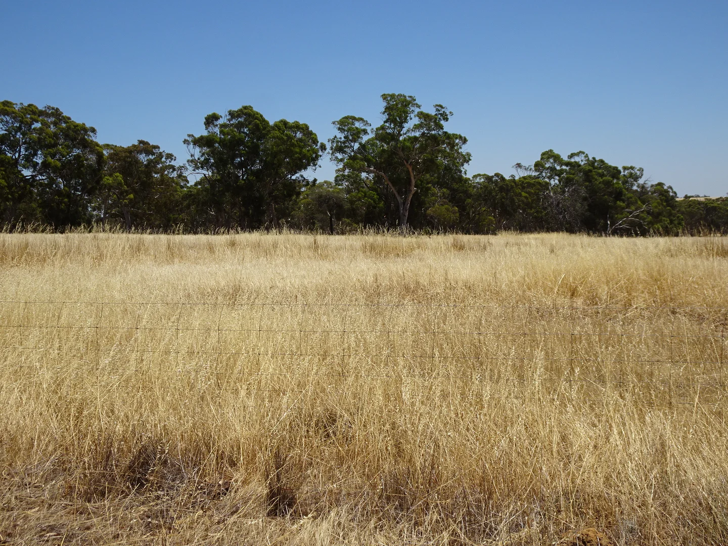 Additional image 23 of 160 Chittleborough Road, Brookton WA 6306