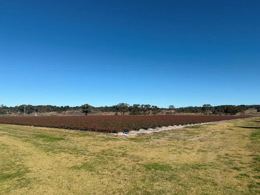 Additional image 9 of 79 Cottonvale School Rd, Cottonvale QLD 4375