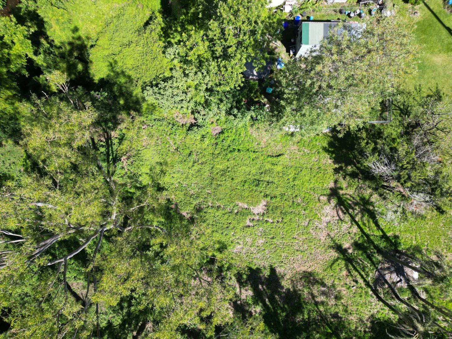 Additional image 6 of 9 Barnes Street, Tabulam NSW 2469