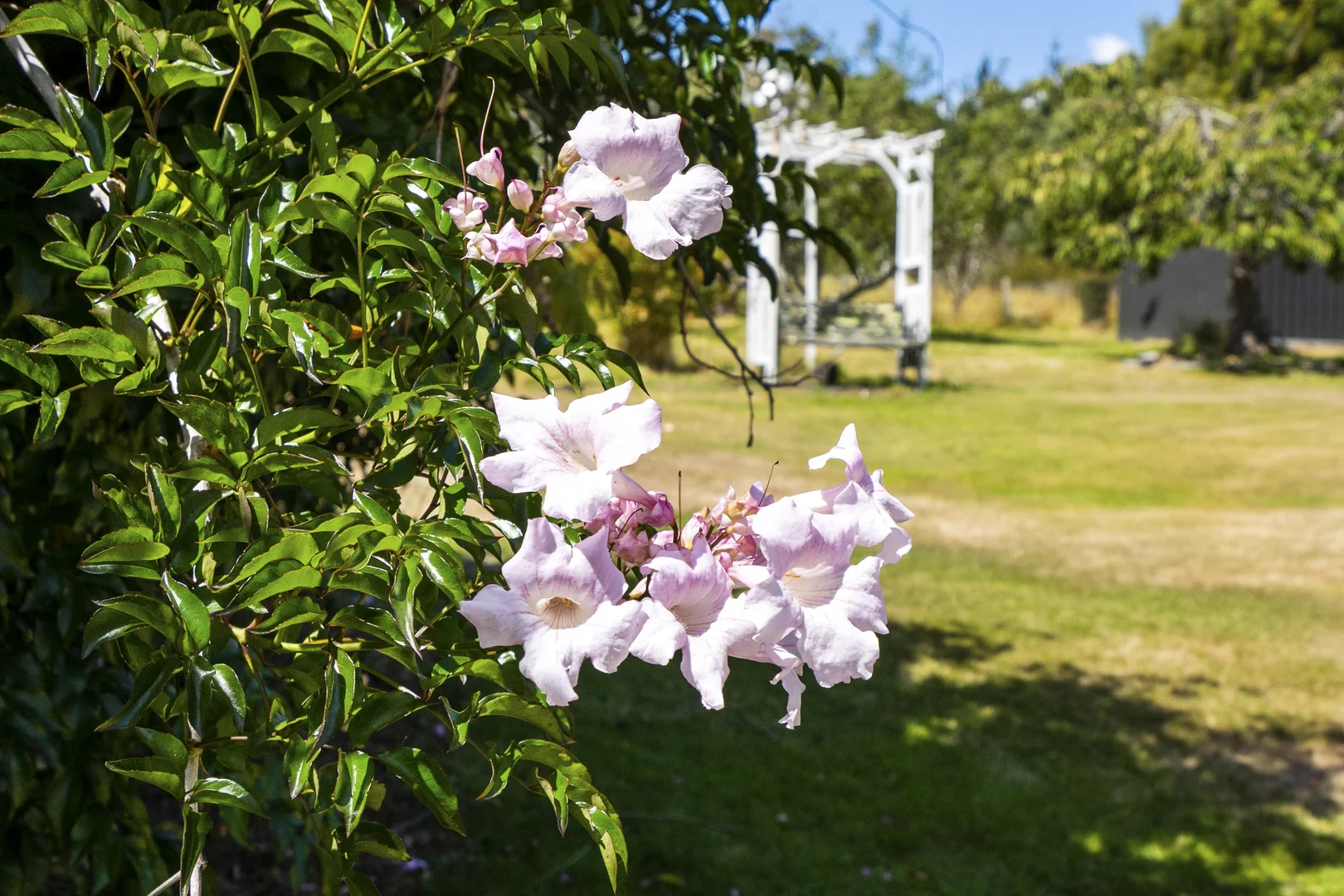 Additional image 28 of 5909 Arthur Highway, Taranna TAS 7180