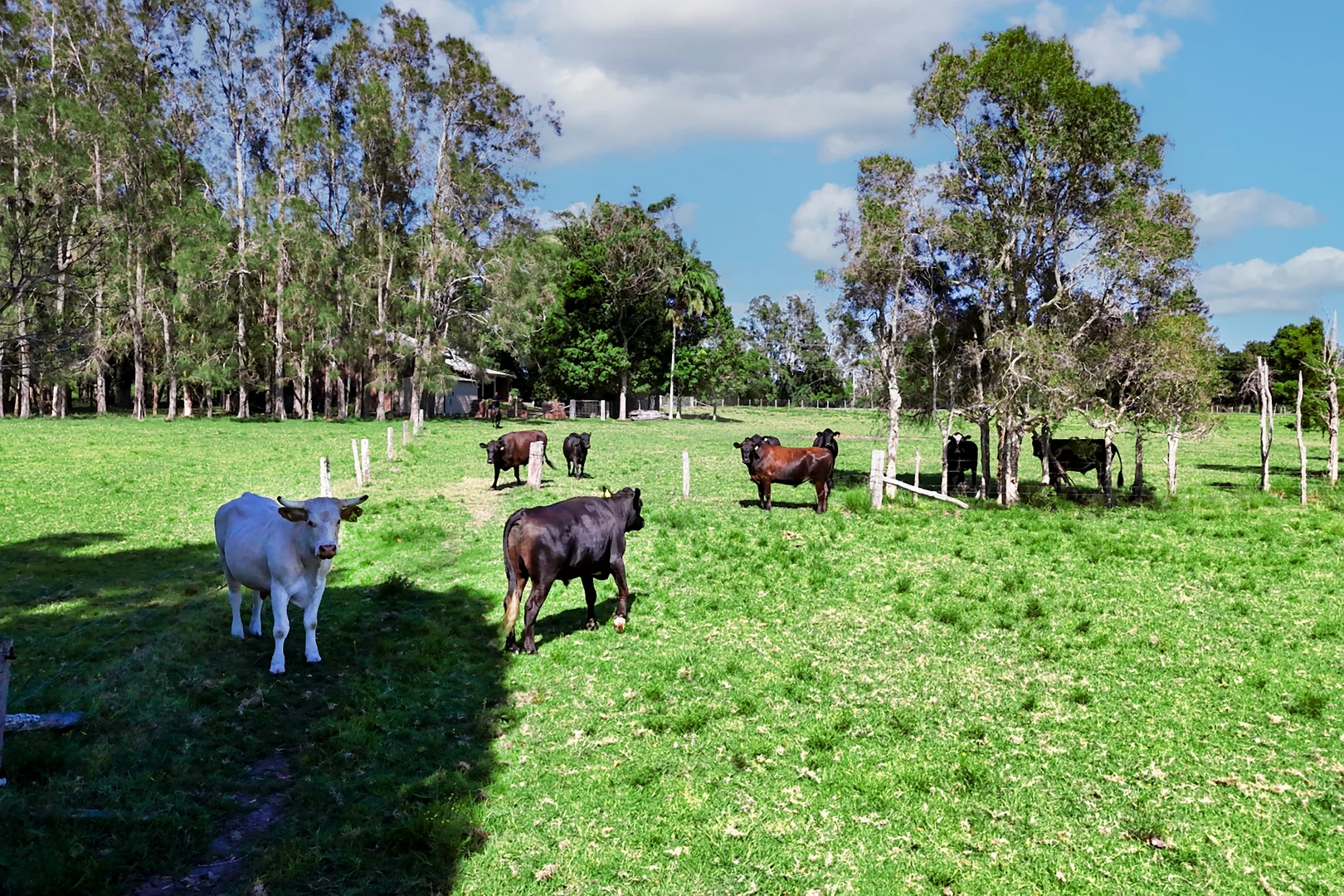 Additional image 7 of 83 Belmore River Right Bank Road, Belmore River NSW 2440