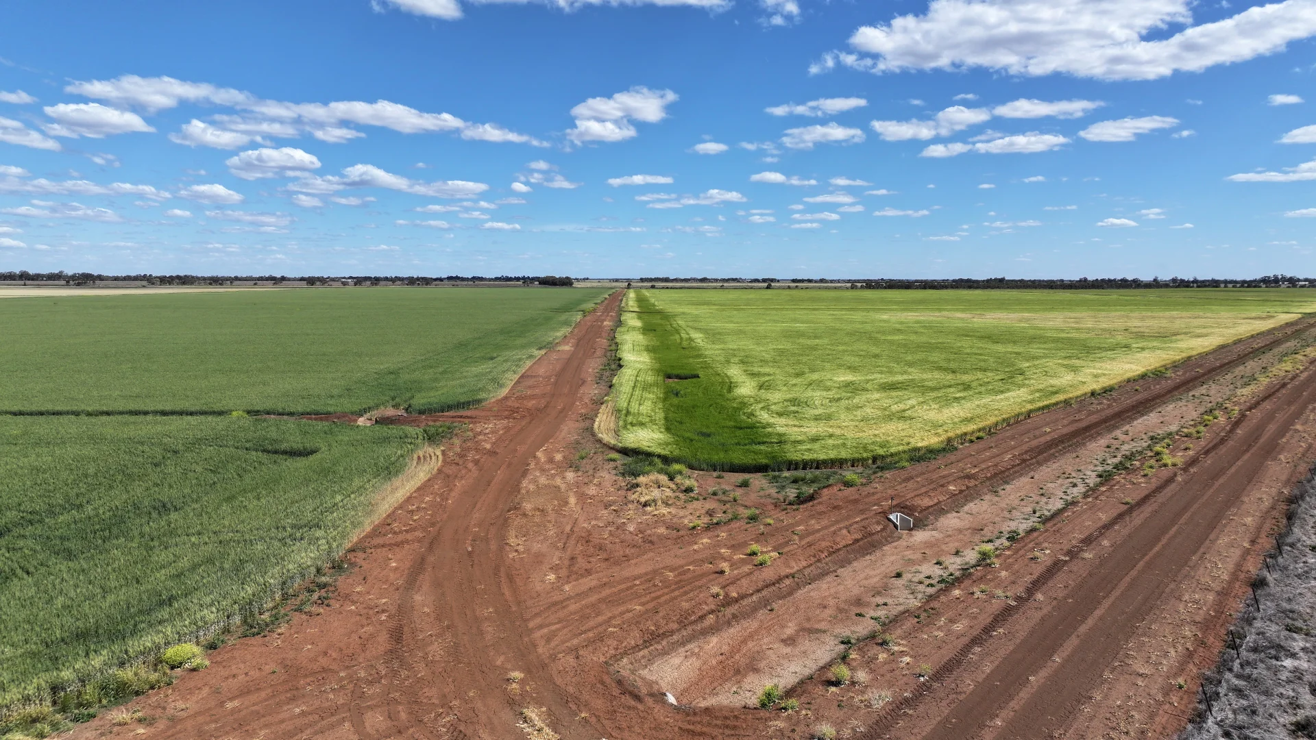 Additional image 5 of Farm 2528 Cashmere Road, Widgelli NSW 2680