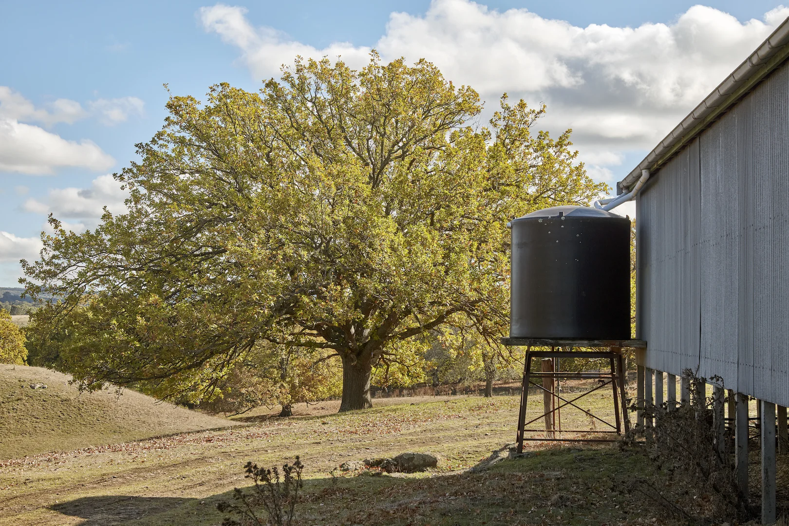 Additional image 8 of 171 Ross Watt Road, Gisborne VIC 3437