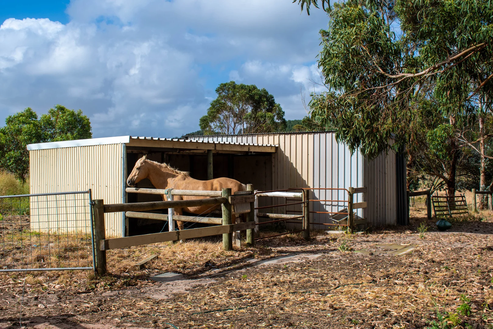 Additional image 6 of 19 Bowering Road, Rocky Camp SA 5280