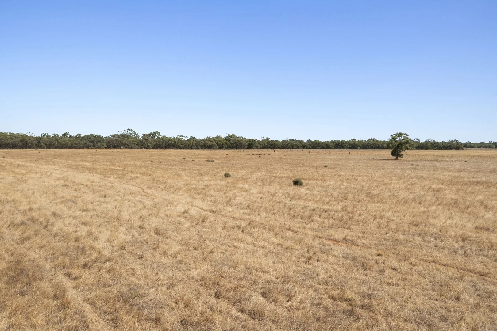 Additional image 13 of Cnr Forbes & Mitchell Roads, Mitiamo VIC 3573