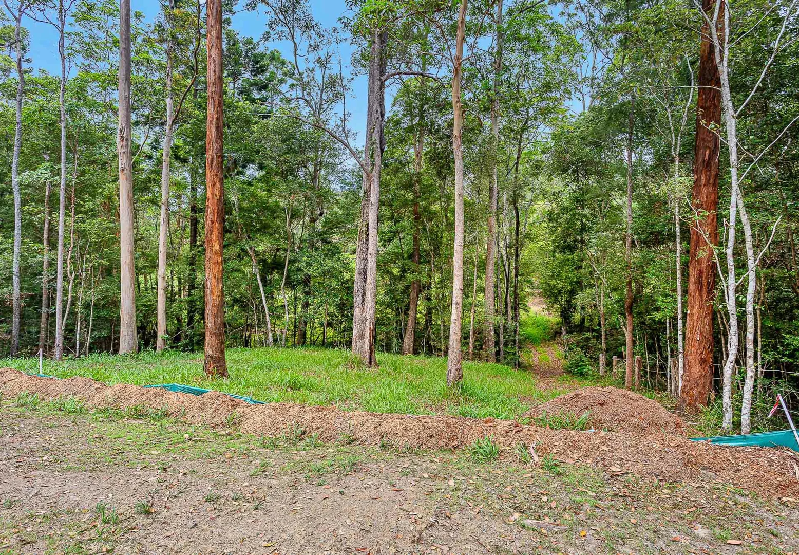 Additional image 14 of 13 Dunbar Road, Bonogin QLD 4213