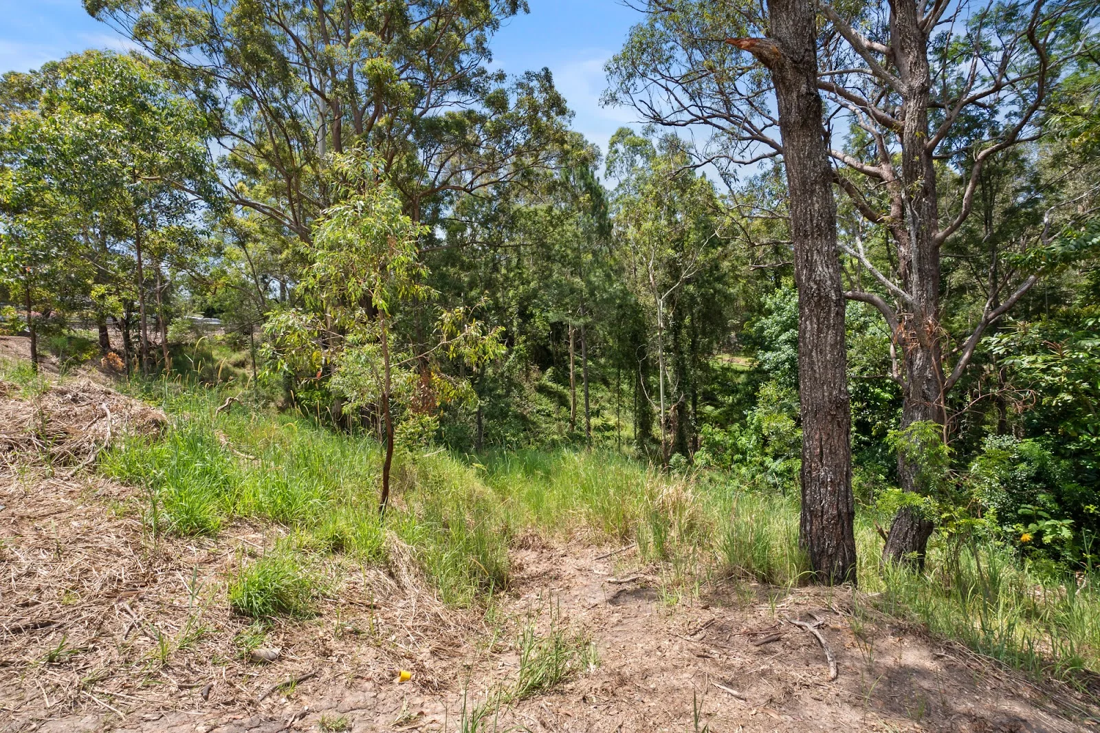 Additional image 14 of 612-618 Henri Robert Drive, Tamborine Mountain QLD 4272
