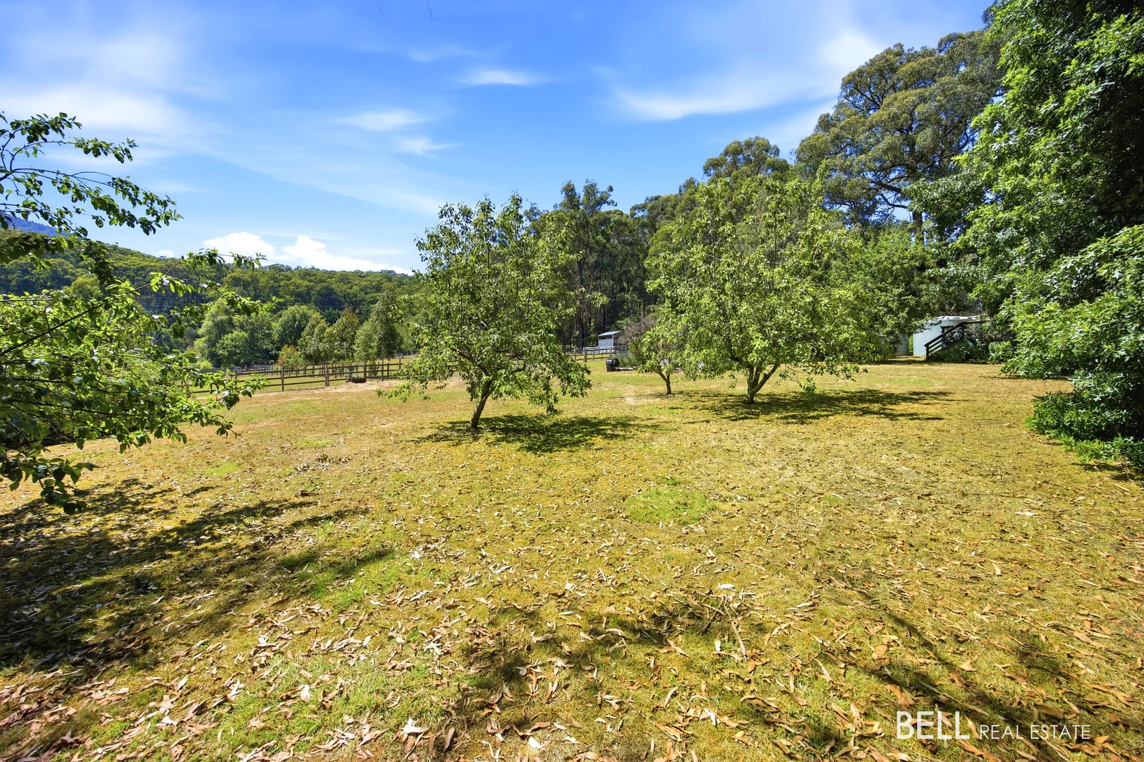 Additional image 3 of 105 Coles Road, Three Bridges VIC 3797