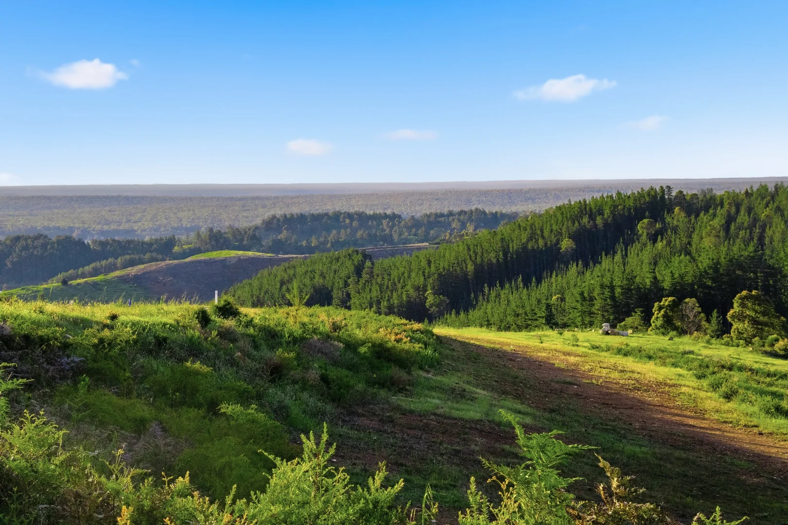 Additional image 17 of 7953 Brockman Highway, Nannup WA 6275