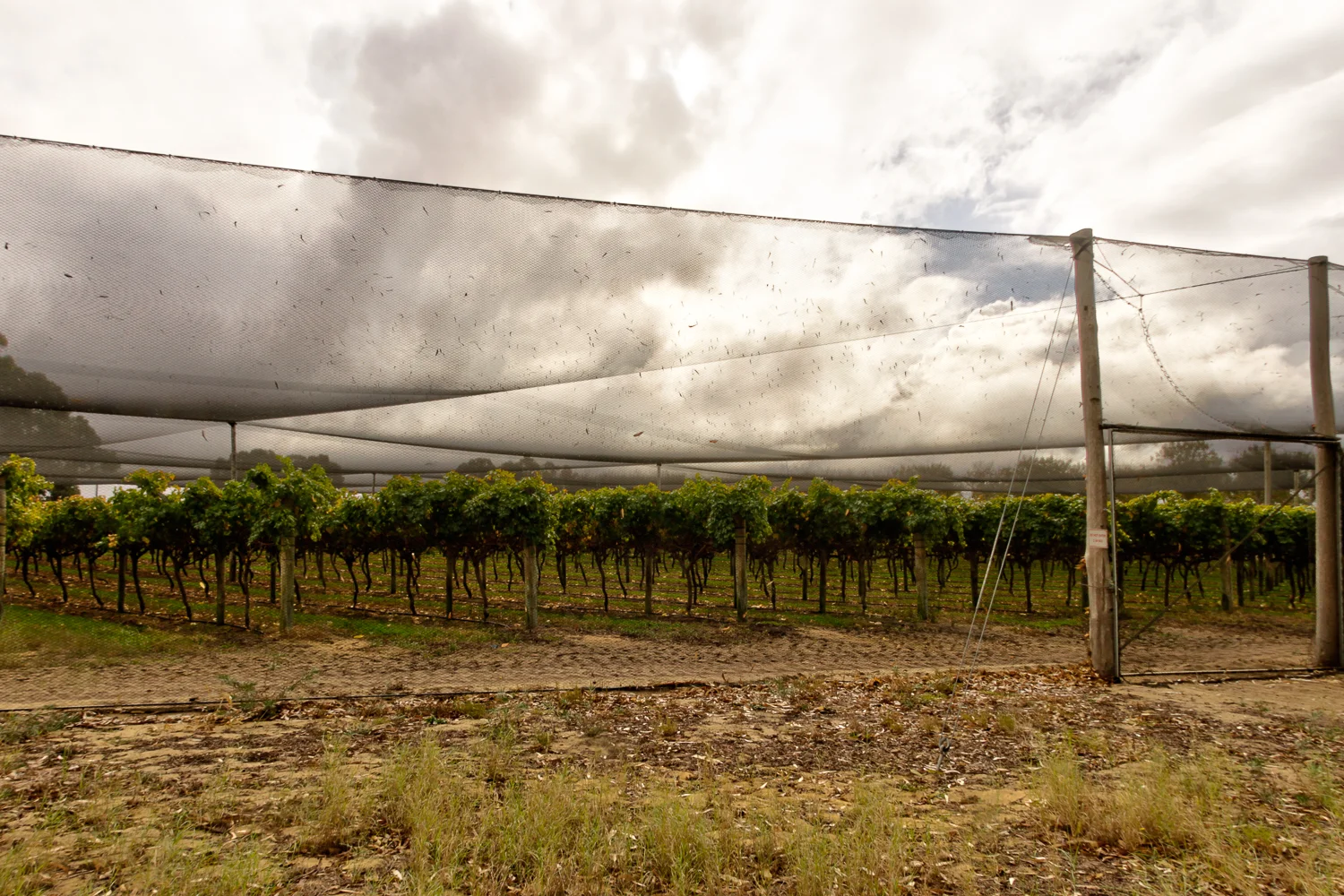 Additional image 21 of 317 Rangeview Drive, Wanerie WA 6503