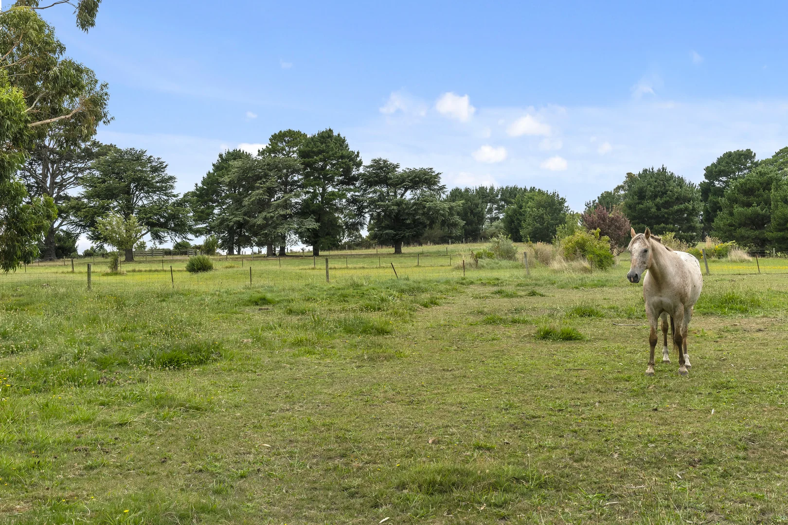 Additional image 32 of 44 Ross Street, Malmsbury VIC 3446