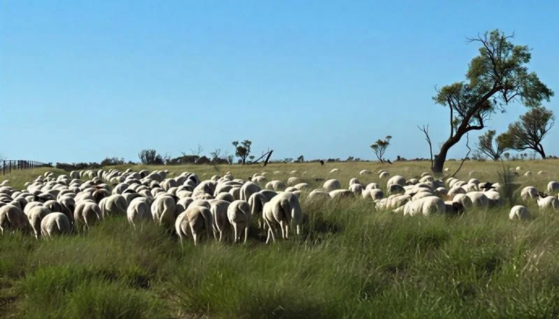Additional image 16 of 1970 Saltern Creek Road, Barcaldine QLD 4725