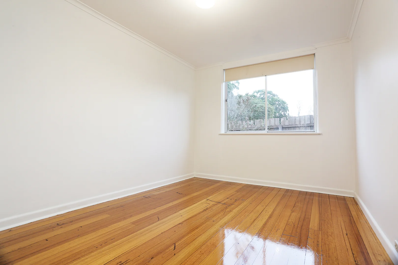 Additional image 7 of 2/19 Cole Street, Herne Hill VIC 3218