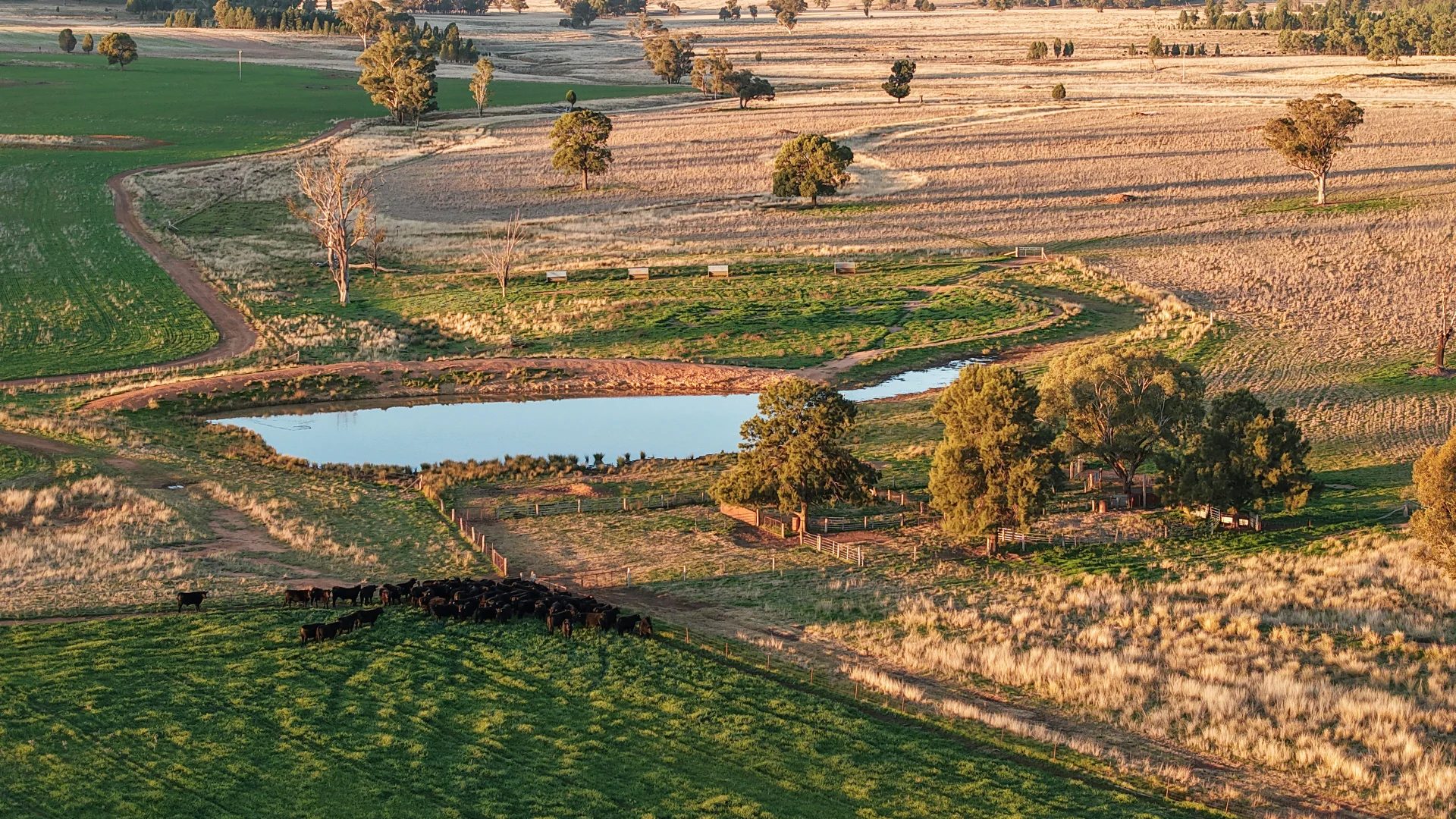 Additional image 17 of 38 Tallawonga Road, Elong Elong NSW 2831