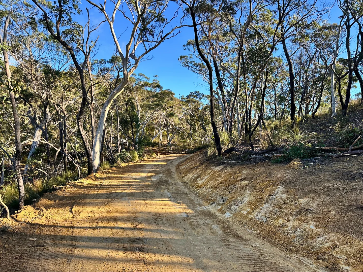 Additional image 9 of 14 Ningee Nimbell Creek Road, Braidwood NSW 2622