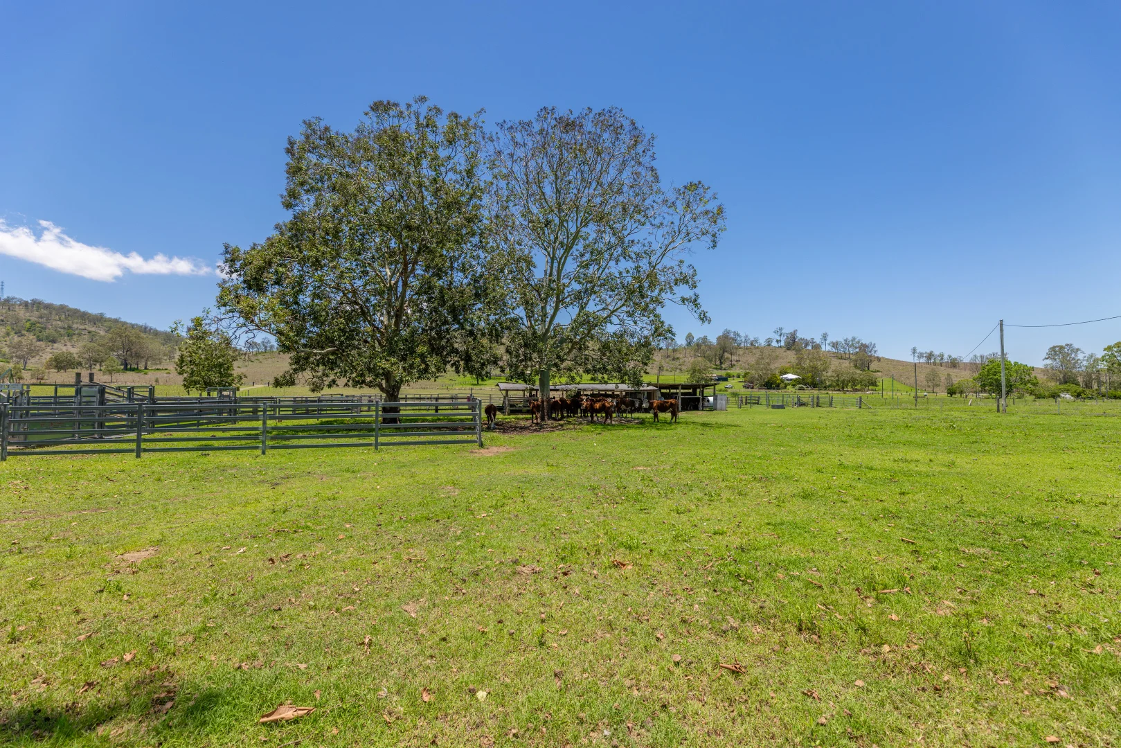 Additional image 17 of 483 Scrub Creek Road, Scrub Creek QLD 4313