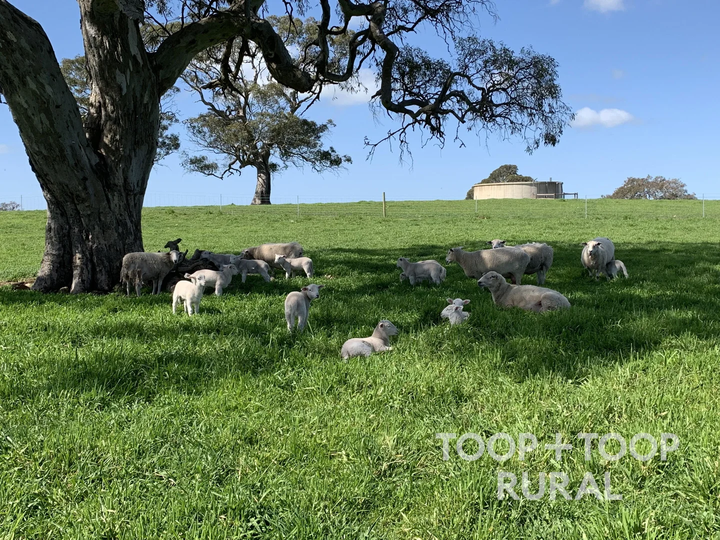 Additional image 24 of 70 Scottsburn Road, Woodside SA 5244