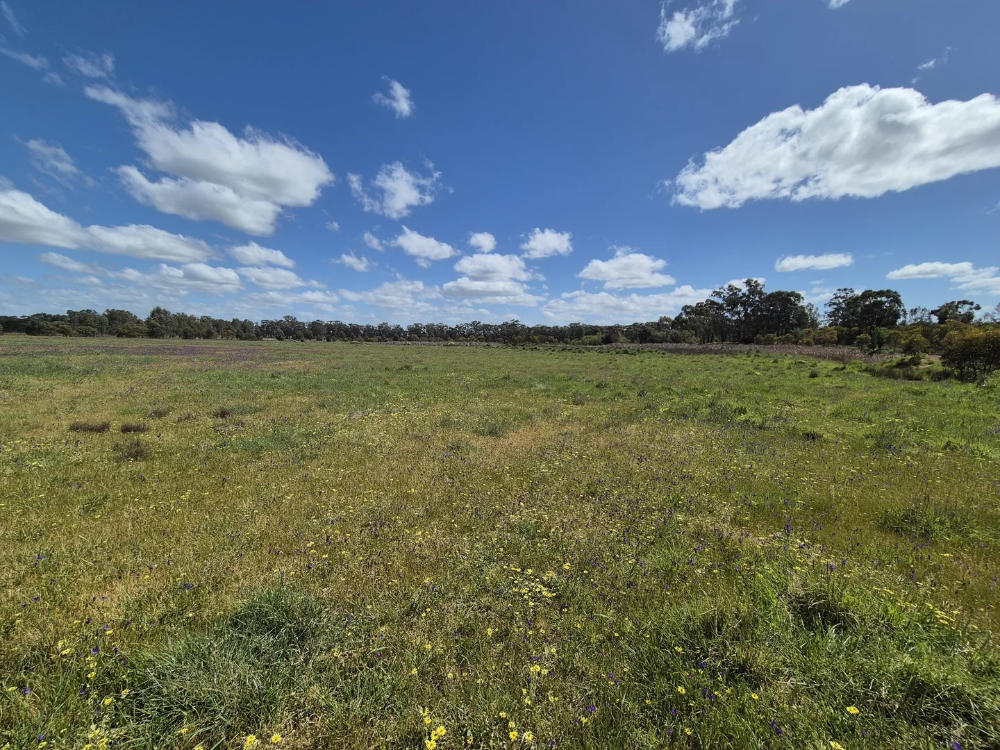 Additional image 11 of Lot 2 Gellibrand Tonks Road, Earlston VIC 3669