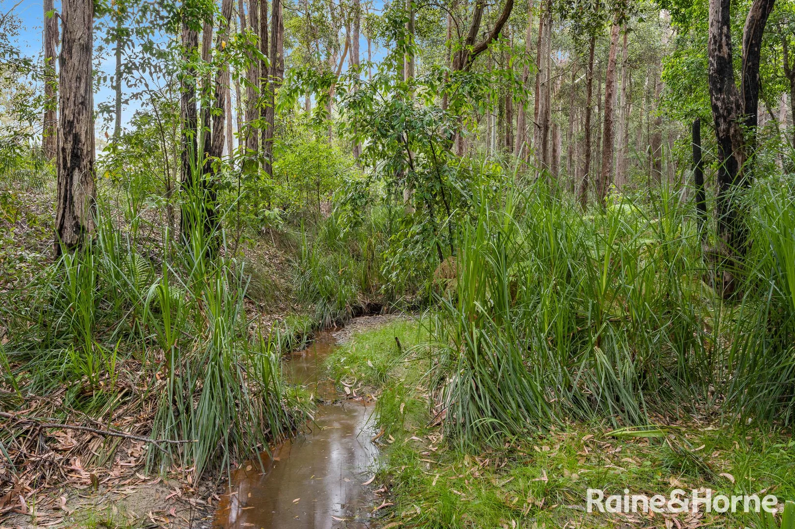 Additional image 4 of 49a Woollamia Road, Falls Creek NSW 2540