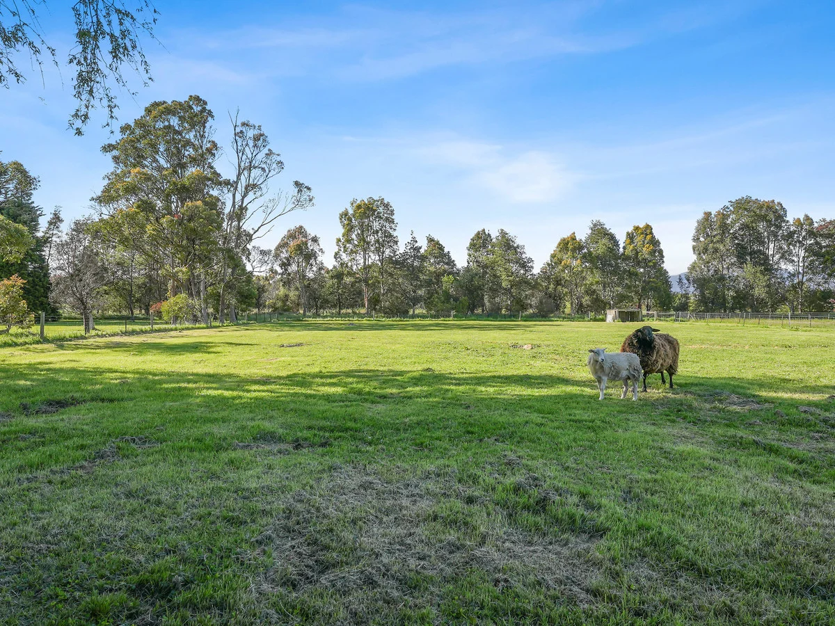 Additional image 21 of 29 Sorell Street, Chudleigh TAS 7304