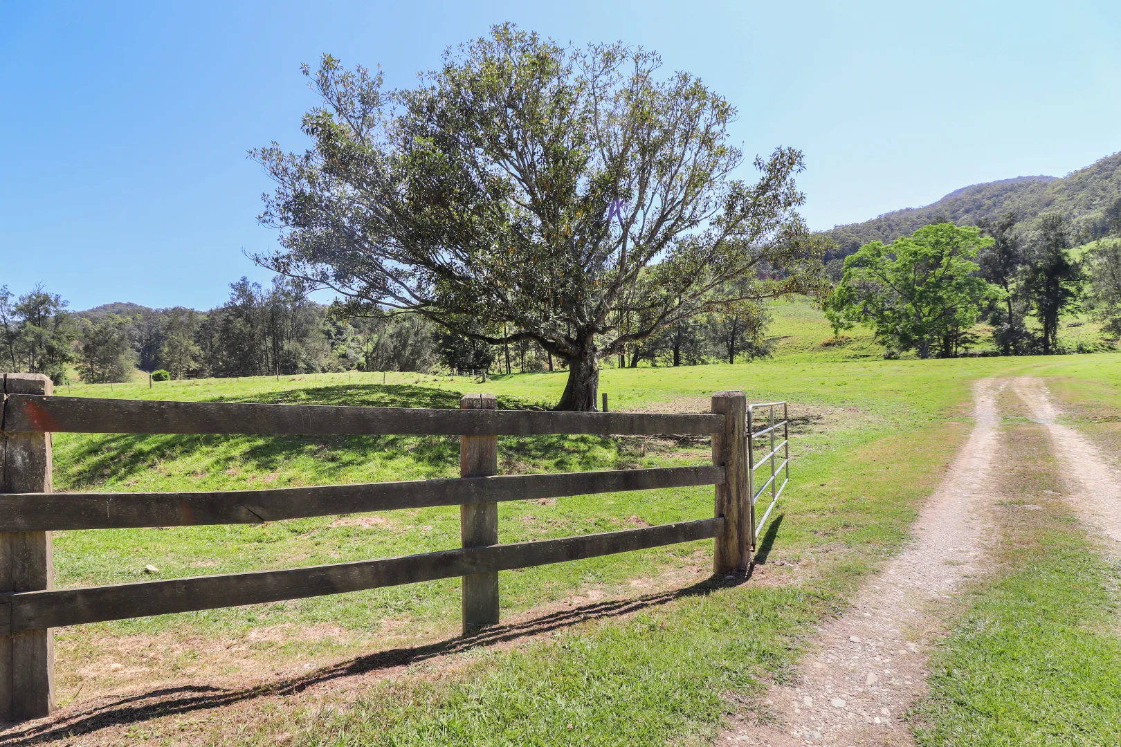 Additional image 28 of 3914 Taylors Arm Rd, Burrapine NSW 2447