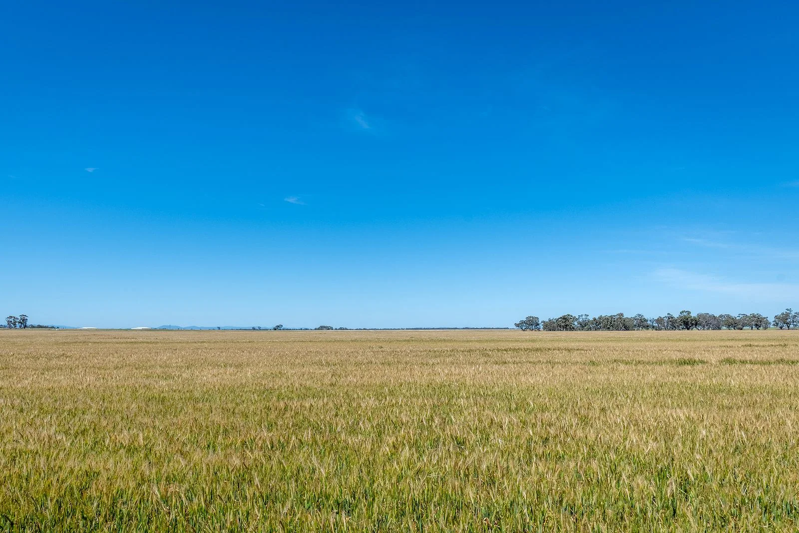 Additional image 3 of Three Mile Road, Vectis VIC 3401