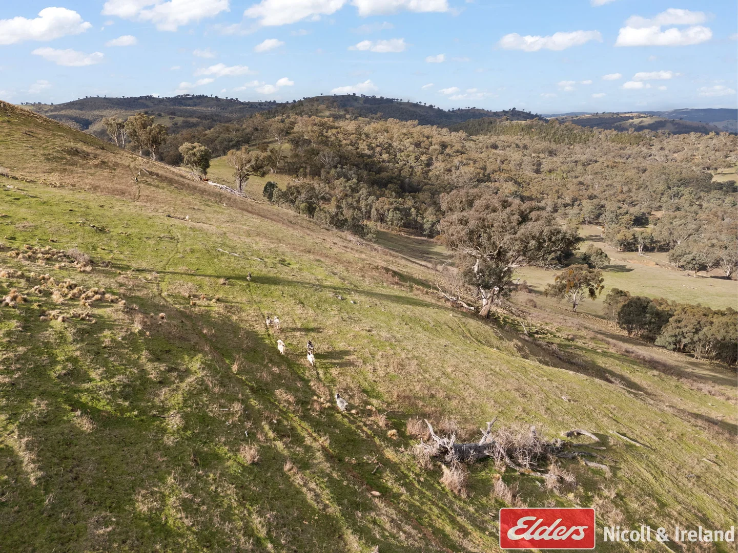 Additional image 17 of 6843 Goulburn Road, Abercrombie River NSW 2795