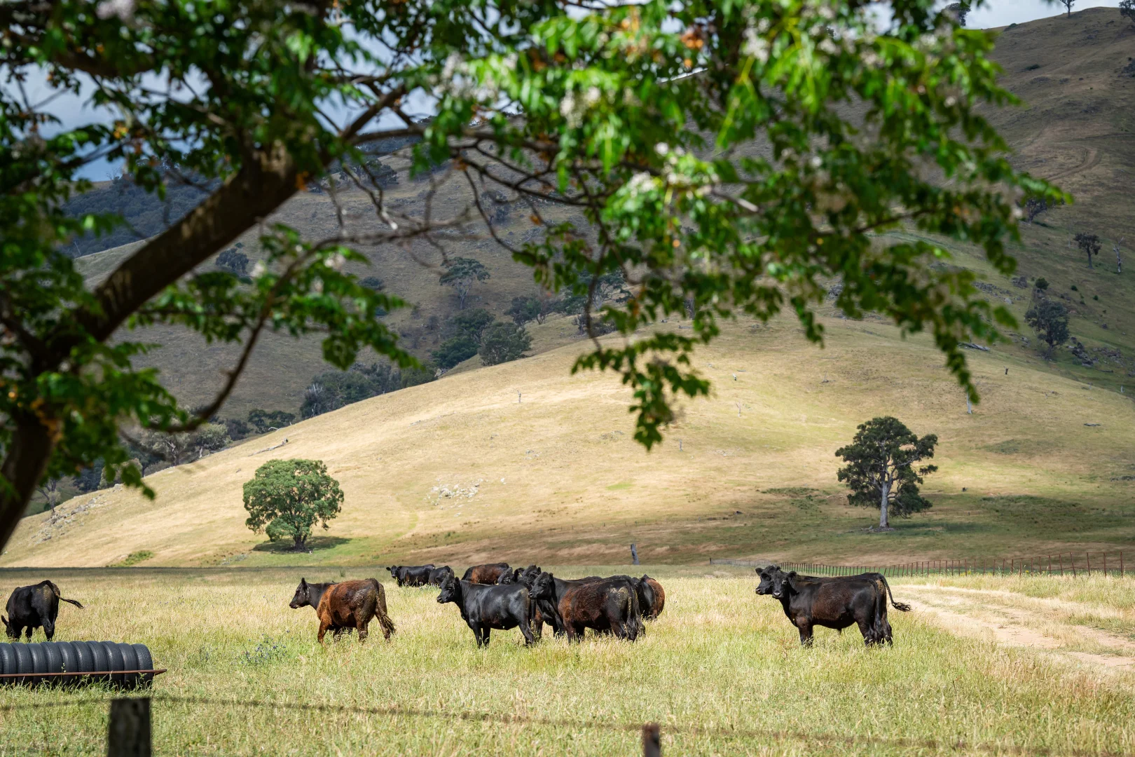 Additional image 28 of 4118 Murray River Road, Thologolong VIC 3691