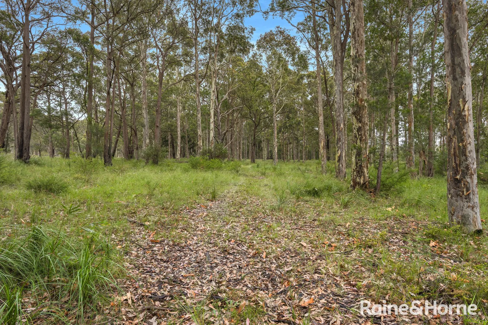 Additional image 9 of 49a Woollamia Road, Falls Creek NSW 2540