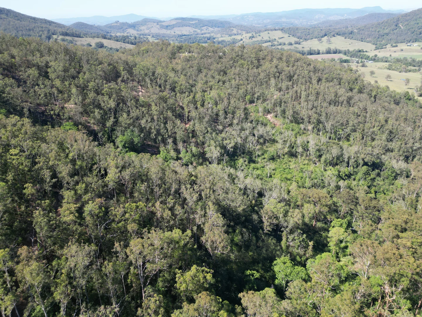 Additional image 12 of 211, 212 Robinson Road, Marlee NSW 2429