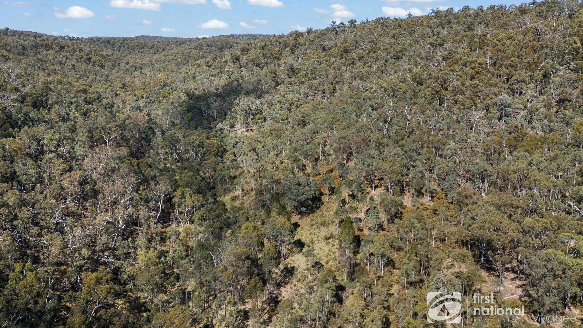 Additional image 7 of 470 Green Gully Road, Mudgee NSW 2850