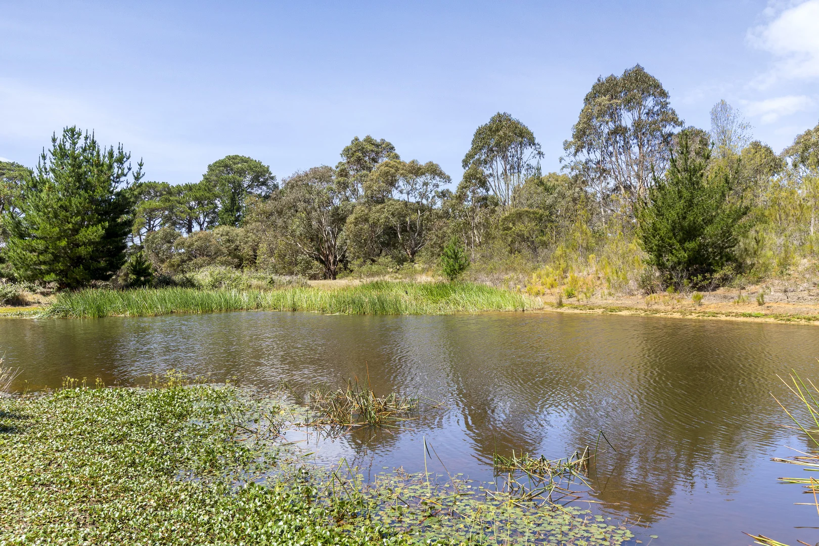 Additional image 2 of 715 Great Ocean Road, Bellbrae VIC 3228