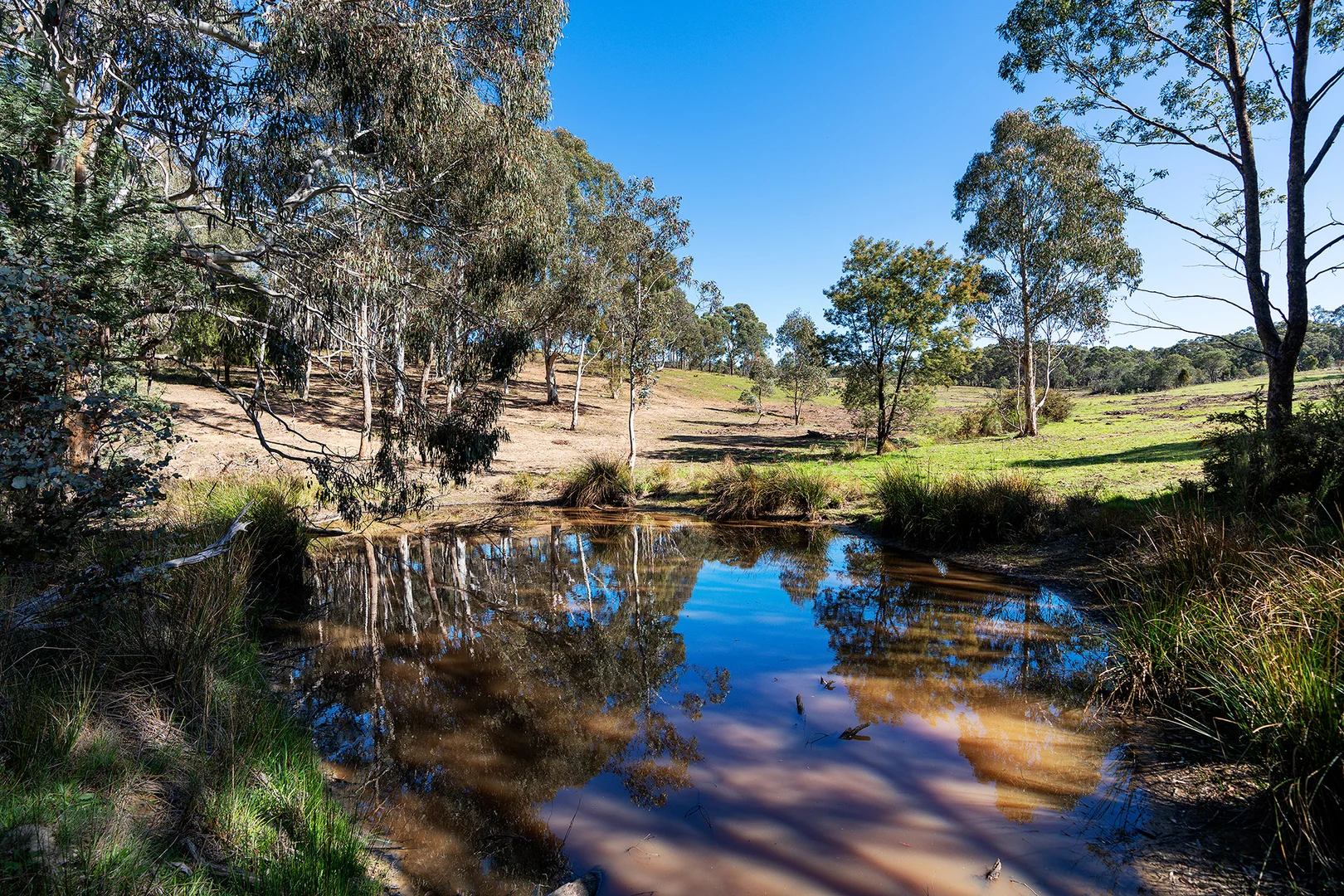Additional image 5 of 255 Taradale Road, Drummond North VIC 3446