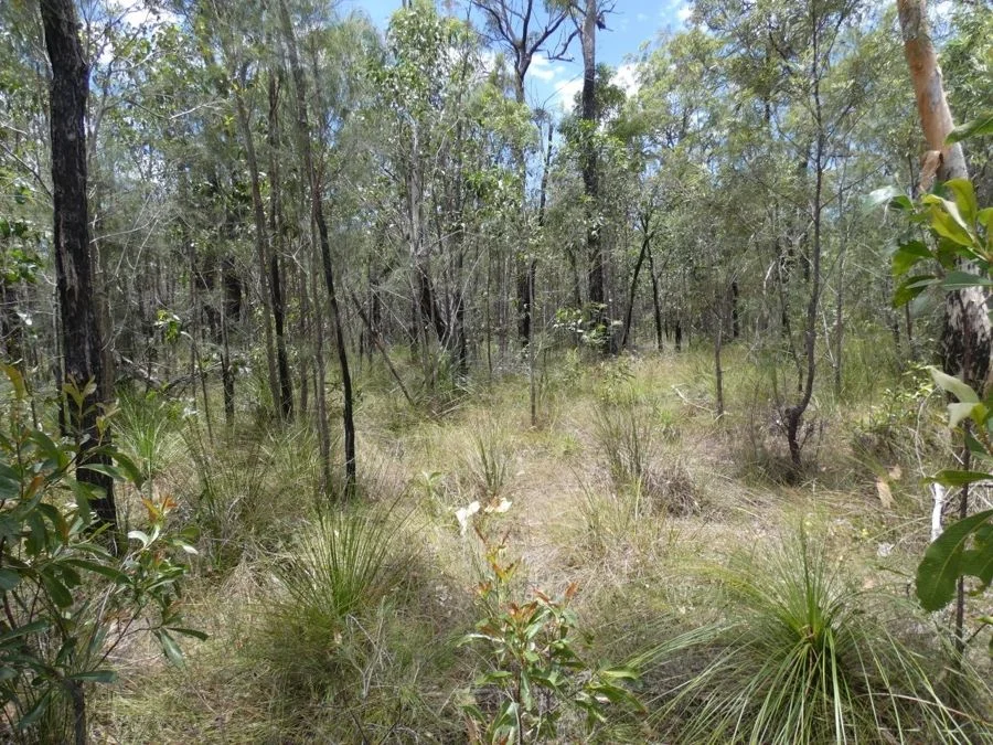 Additional image 16 of 668 Matchbox Road, Deepwater QLD 4674