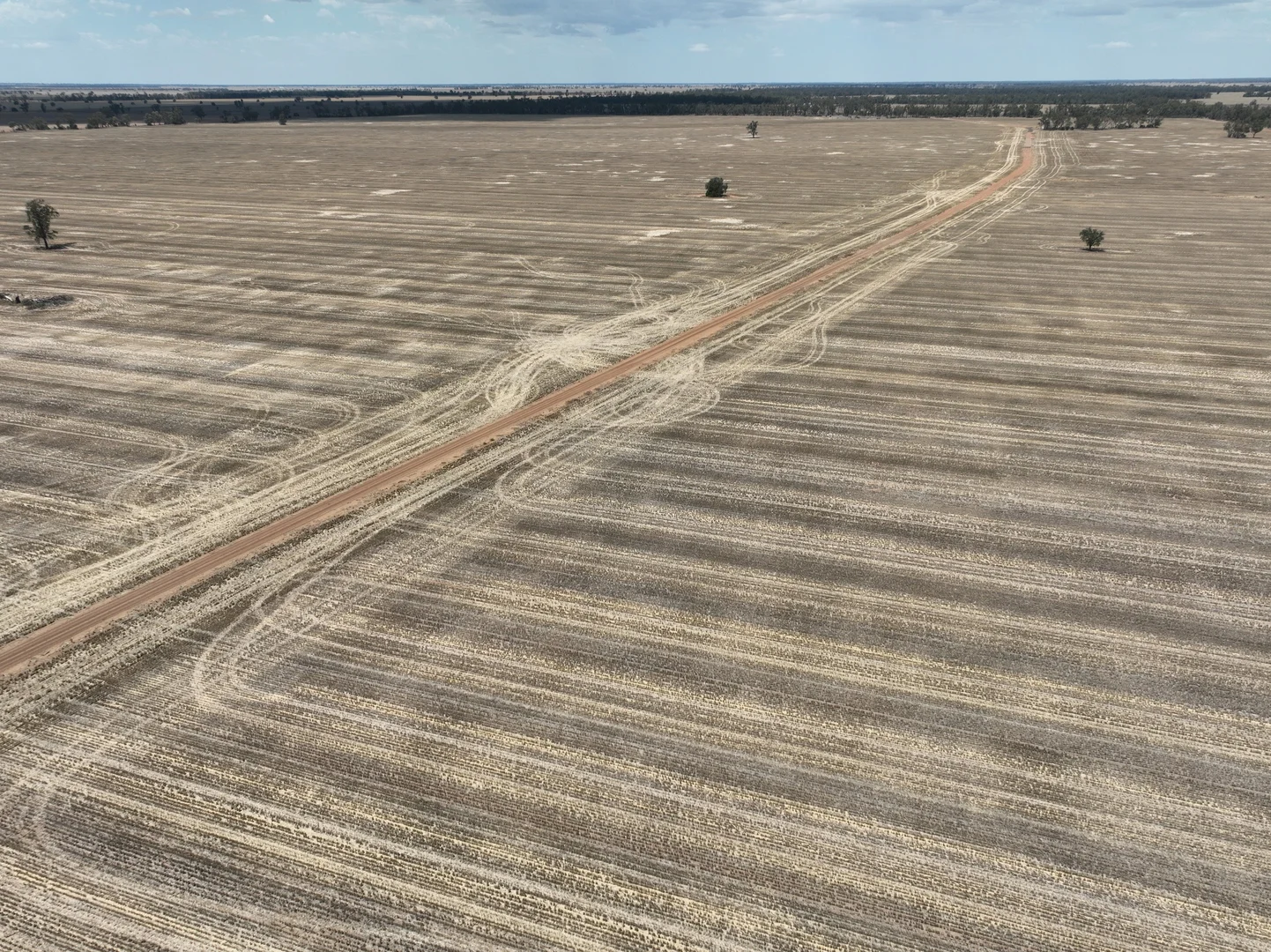 Additional image 7 of 'The Pines' 211 Dicks Camp Road, Collie NSW 2827