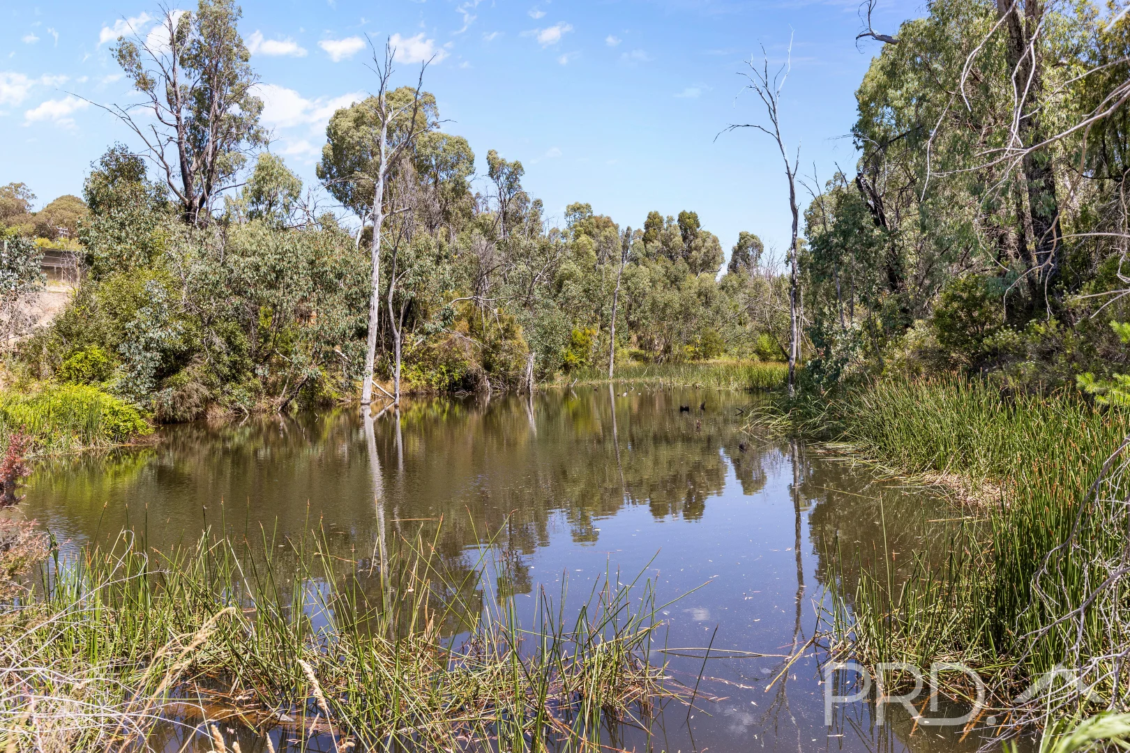 Additional image 24 of 56 Mines Road, Batlow NSW 2730