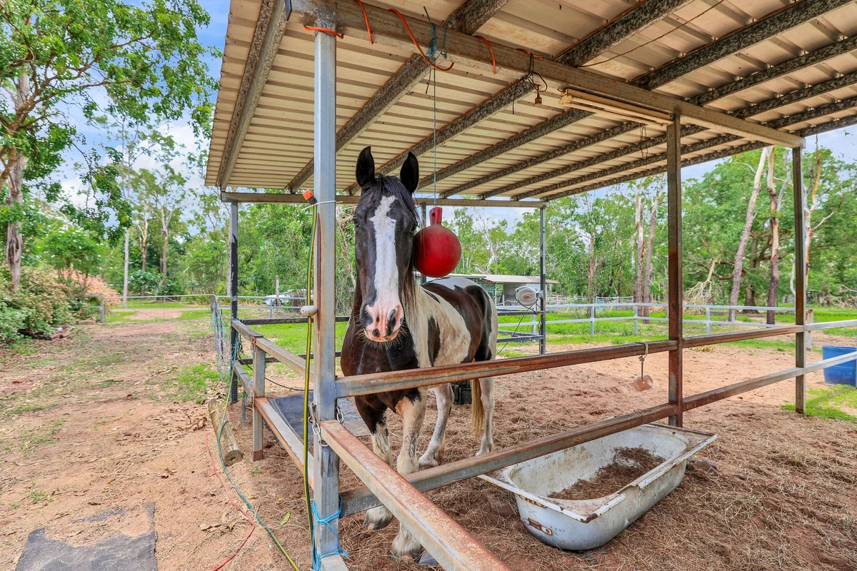 Additional image 22 of 35 Williams Road, Girraween NT 0836