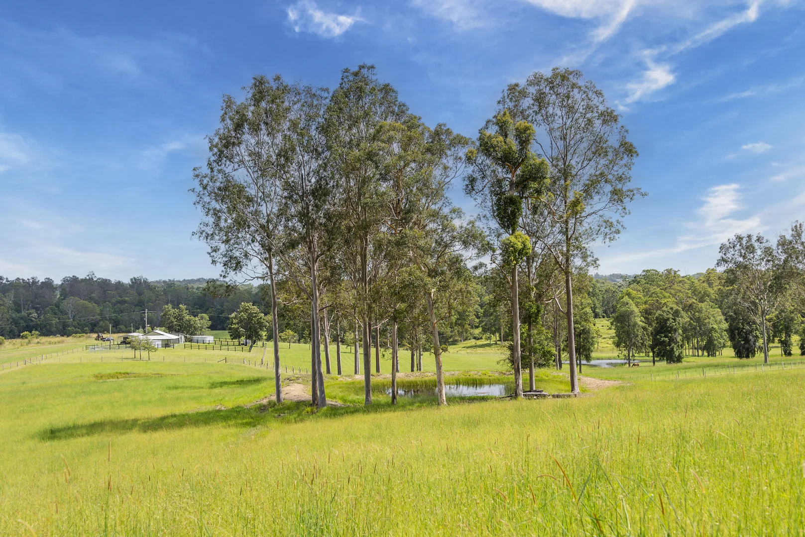 Additional image 32 of 240 Keefton Road, Woondum QLD 4570