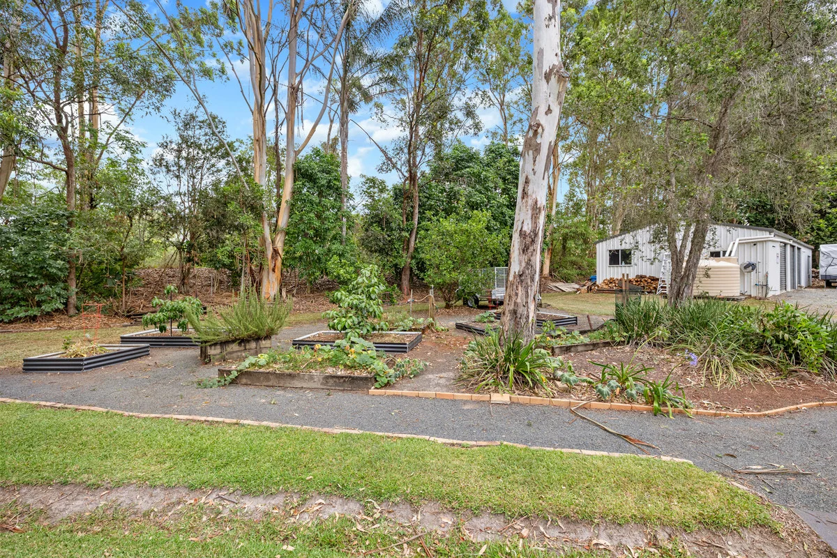 Additional image 29 of 13 Korsman Drive, Thornlands QLD 4164