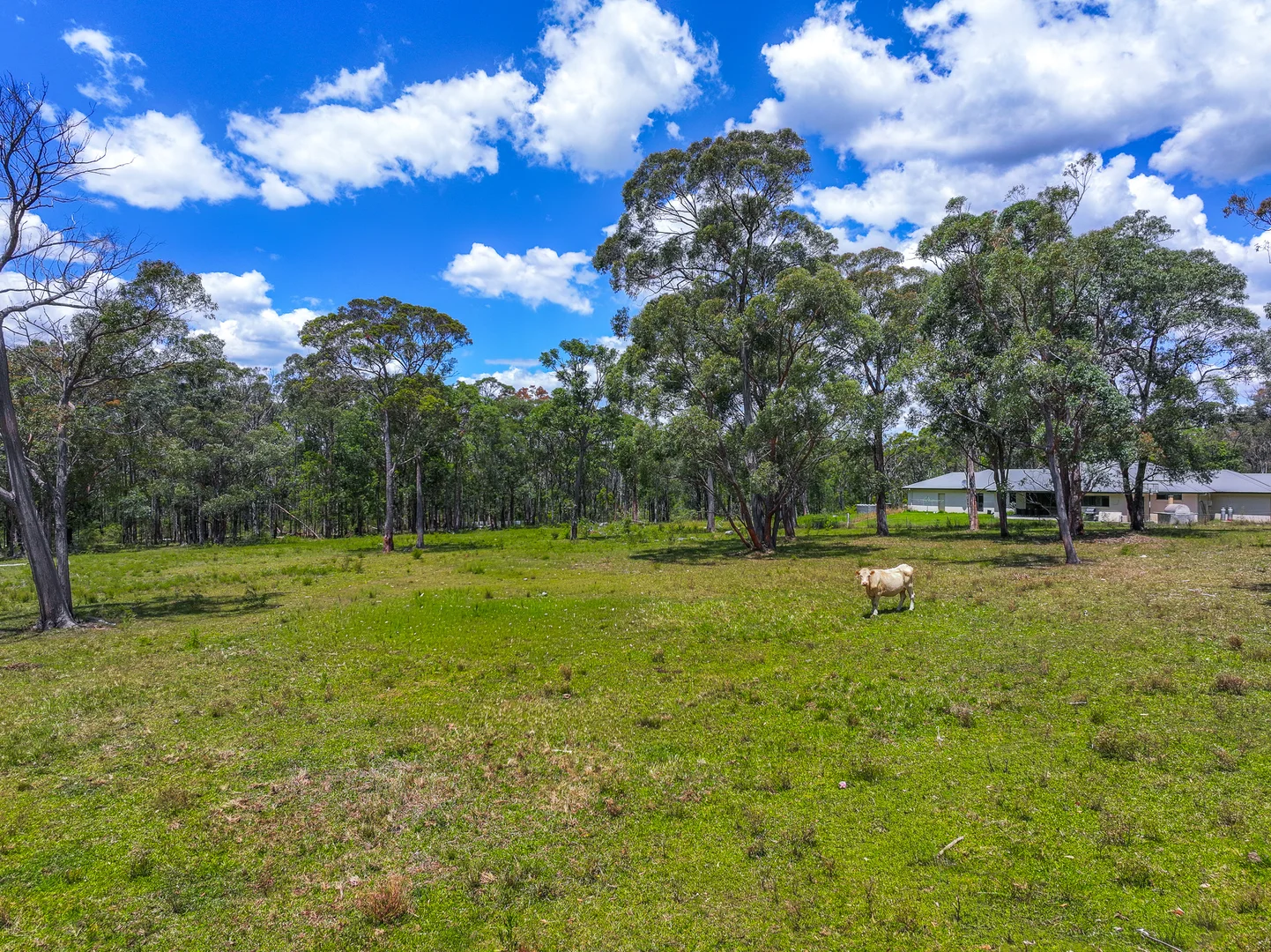 Additional image 14 of 65 Blattman Avenue, Oakdale NSW 2570