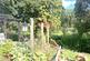 Additional image 13 of Tisbury Road, Salisbury SP3