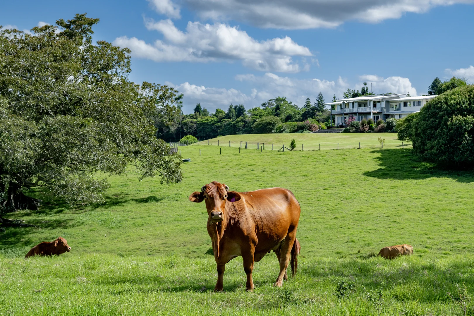 Additional image 4 of 491 Maleny-Stanley River Road, Wootha QLD 4552